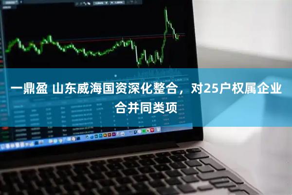 一鼎盈 山东威海国资深化整合，对25户权属企业合并同类项