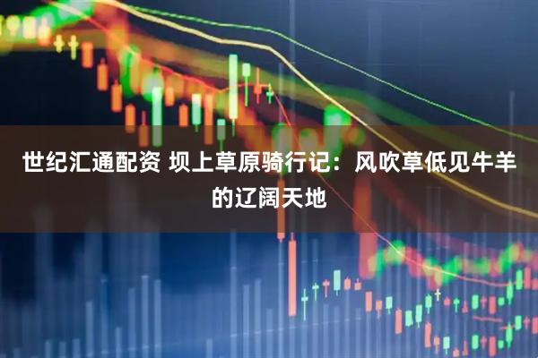 世纪汇通配资 坝上草原骑行记：风吹草低见牛羊的辽阔天地